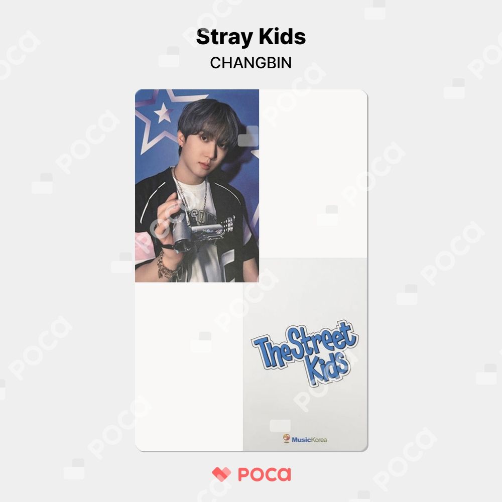 straykids チャンビン スキズ トレカ 2025 Season's Greetings