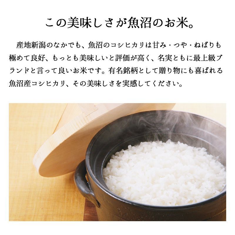 新米 魚沼産コシヒカリ10kg お米 令和6年産 白米