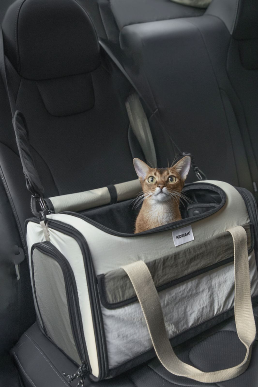 値下げ】【HiDREAM】ペットキャリー・犬用・猫用（スーツケース専用