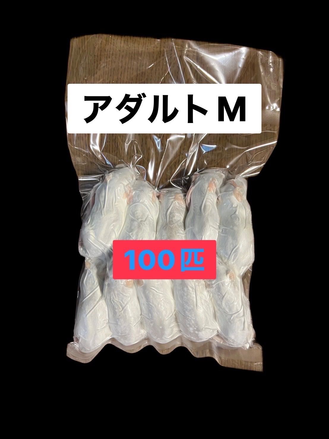 国産冷凍アダルトマウスM 100匹 送料込 即日発送 同梱可 - メルカリ