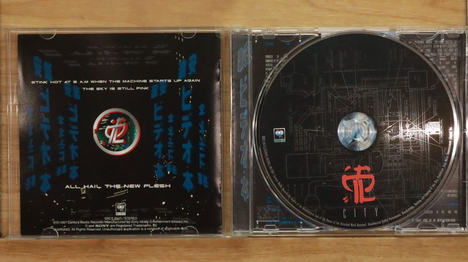 国内盤CD☆ストラッピング・ヤング・ラッド/Strapping Young Lad 