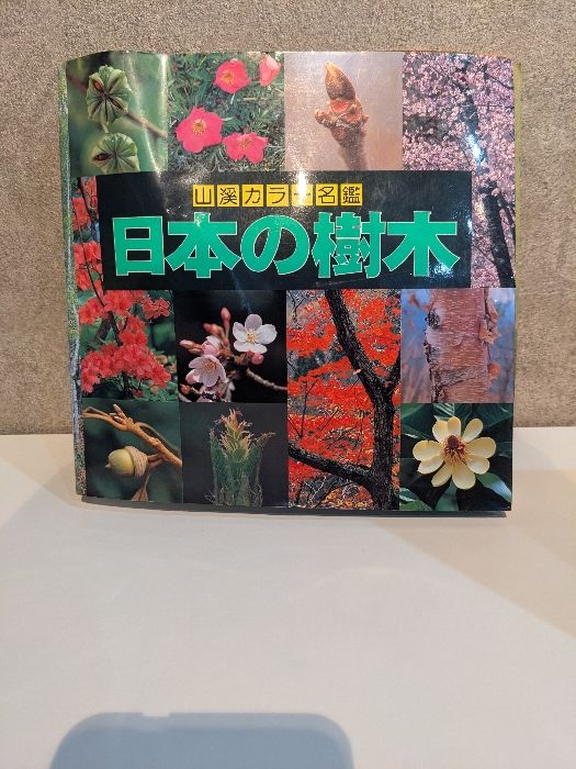山渓カラー名鑑 ◆日本の樹木 日本の樹木 (山渓カラー名鑑) (山溪カラー名鑑) | 林 弥栄 |本