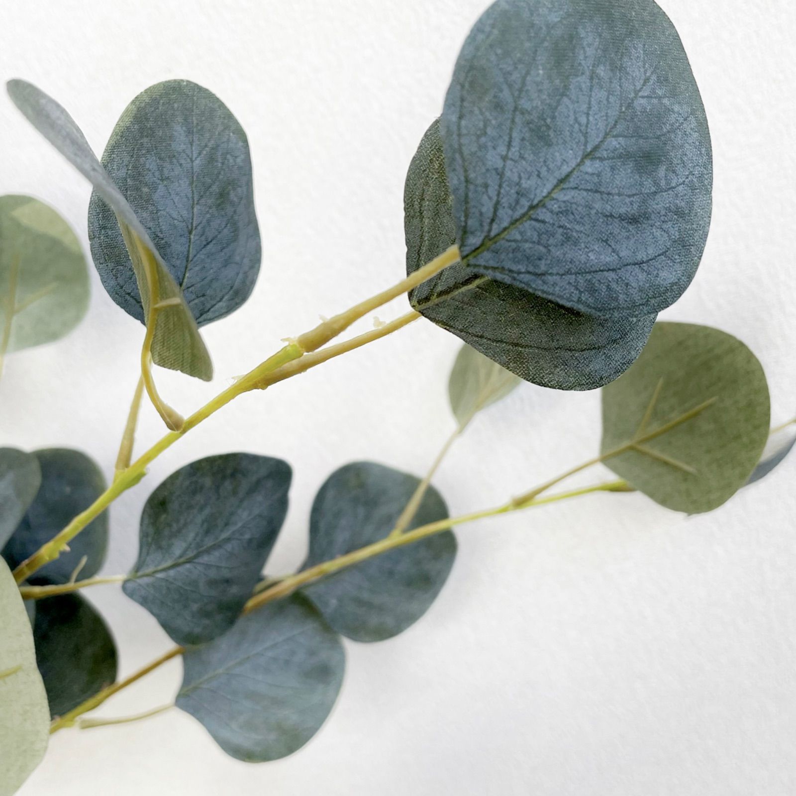 人気の福袋 人気商品 新品 未使用 フェイクグリーン 丸葉ユーカリ 2本 植物 観葉植物 Www Sundiscountpharmacy Com Www Sundiscountpharmacy Com 人気の福袋 人気商品 新品 未使用 フェイクグリーン 丸葉ユーカリ 2本 植物 観葉植物 Www Sundiscountpharmacy Com Www Sundiscountpharmacy Com