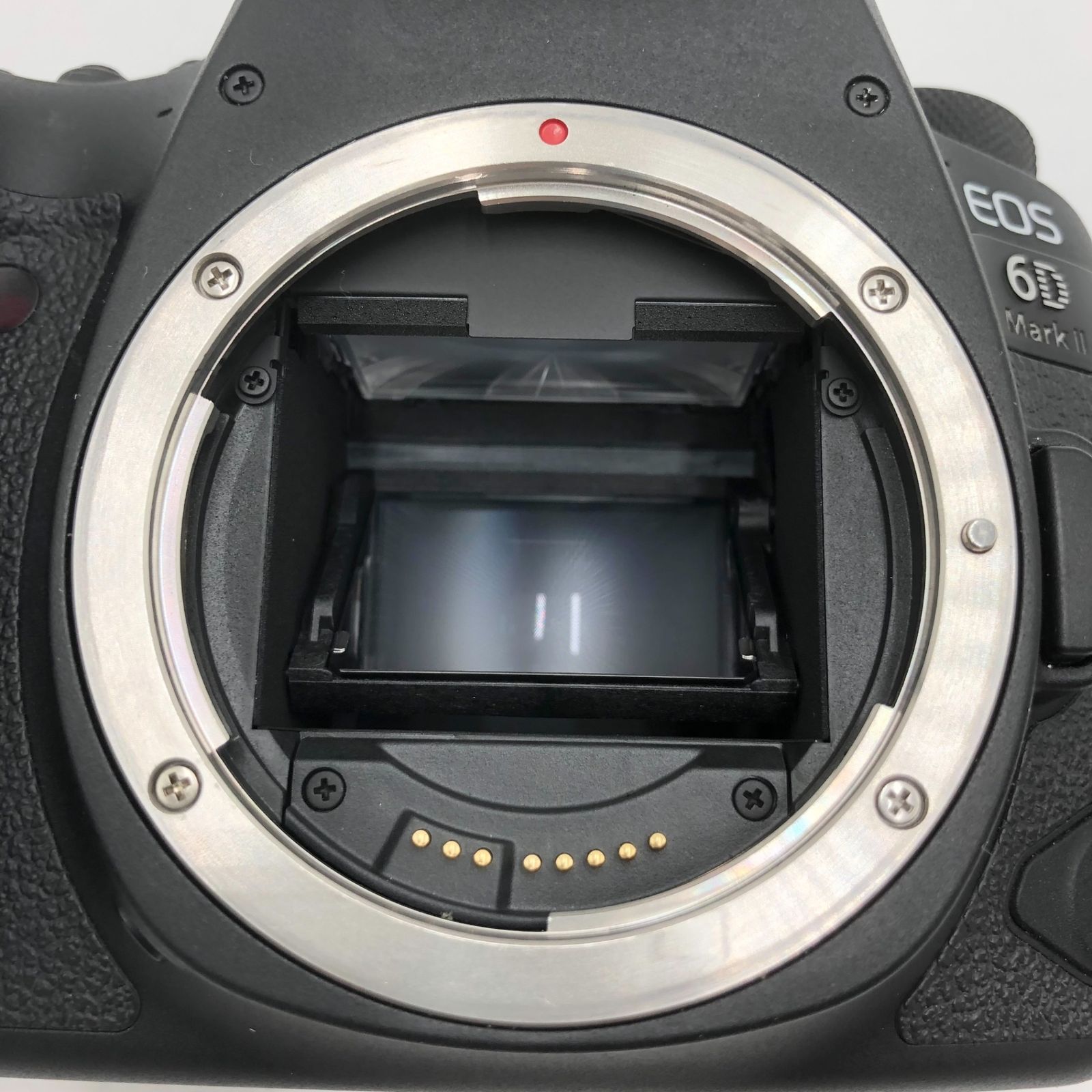 Canon デジタル一眼レフカメラ EOS 6D Mark II EF24-105 IS STM レンズ