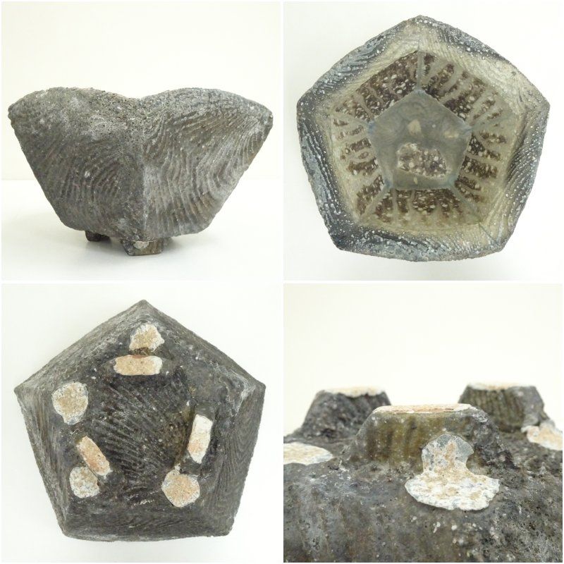  伊賀焼 高樋窯 蓮善隆造 窯変盛鉢 共箱 和食器 器 おしゃれ 盛り鉢 和食 大鉢 盛皿 煮物鉢 魚 丼 料理 料亭 旅館 カフェ 居酒屋 来客 鉢 ボウル 食器