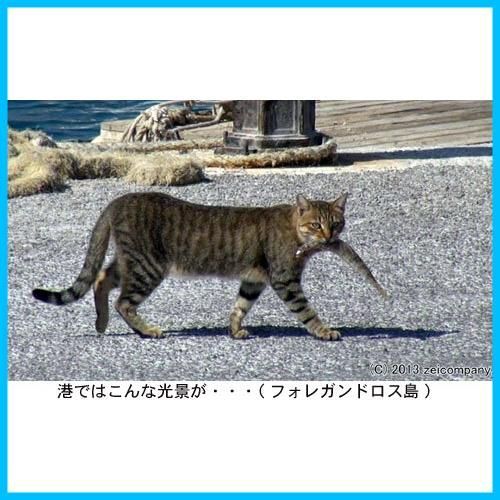 エーゲ海・猫が暮らす癒しの島 [Blu-ray] Amazon.co.jp: エーゲ海・猫が暮らす癒しの島 [Blu-ray] : DVD