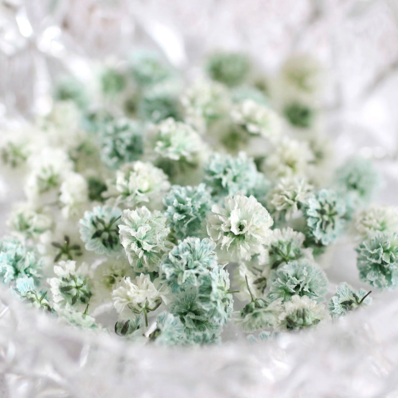 ♡マダミン♡様おまとめ】ドライフラワー 【公式通販】