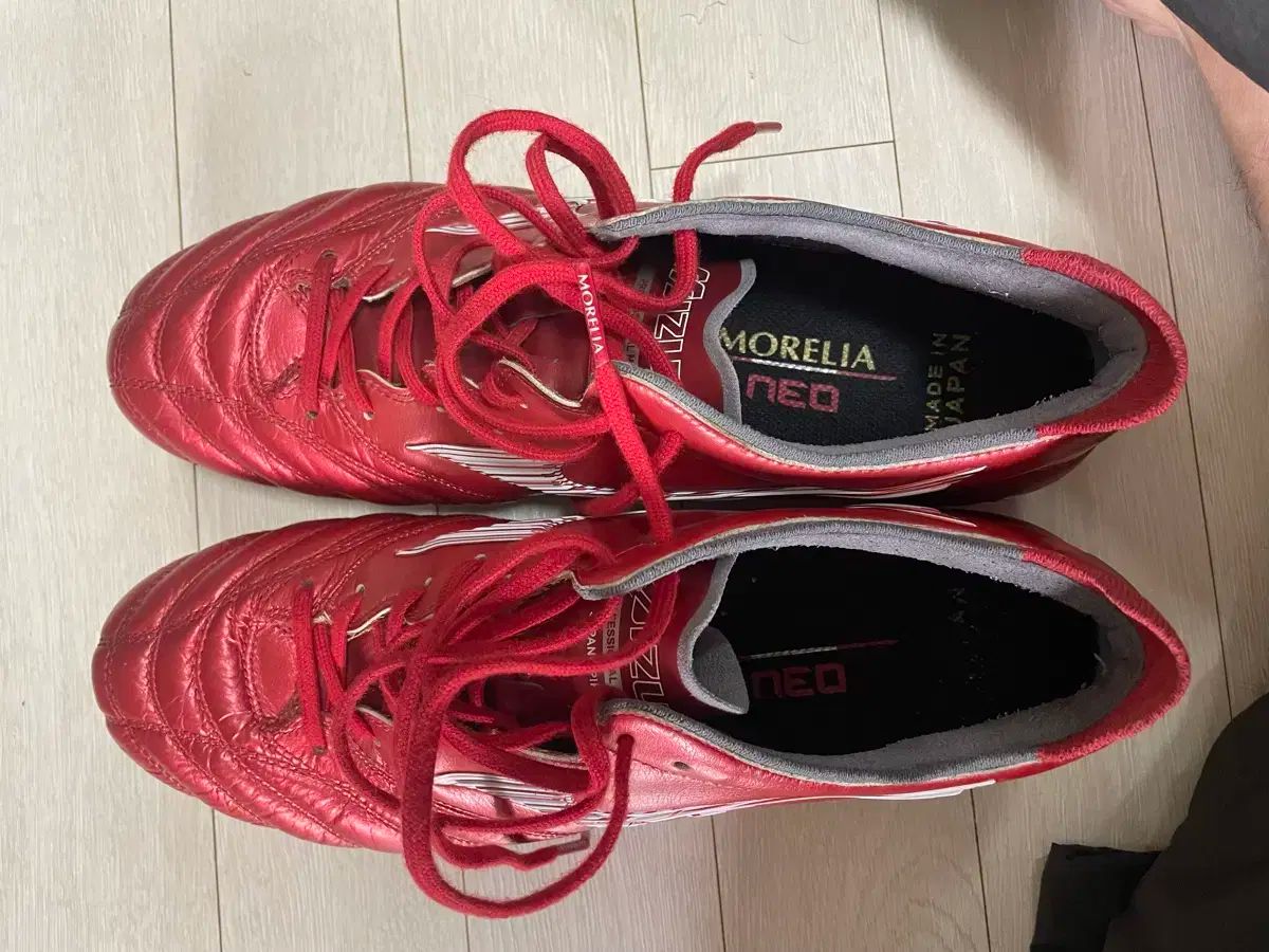 モレリアNEO3 ブラック MIZUNO モレリアneo3 26.0cm 楽天市場】ミズノ