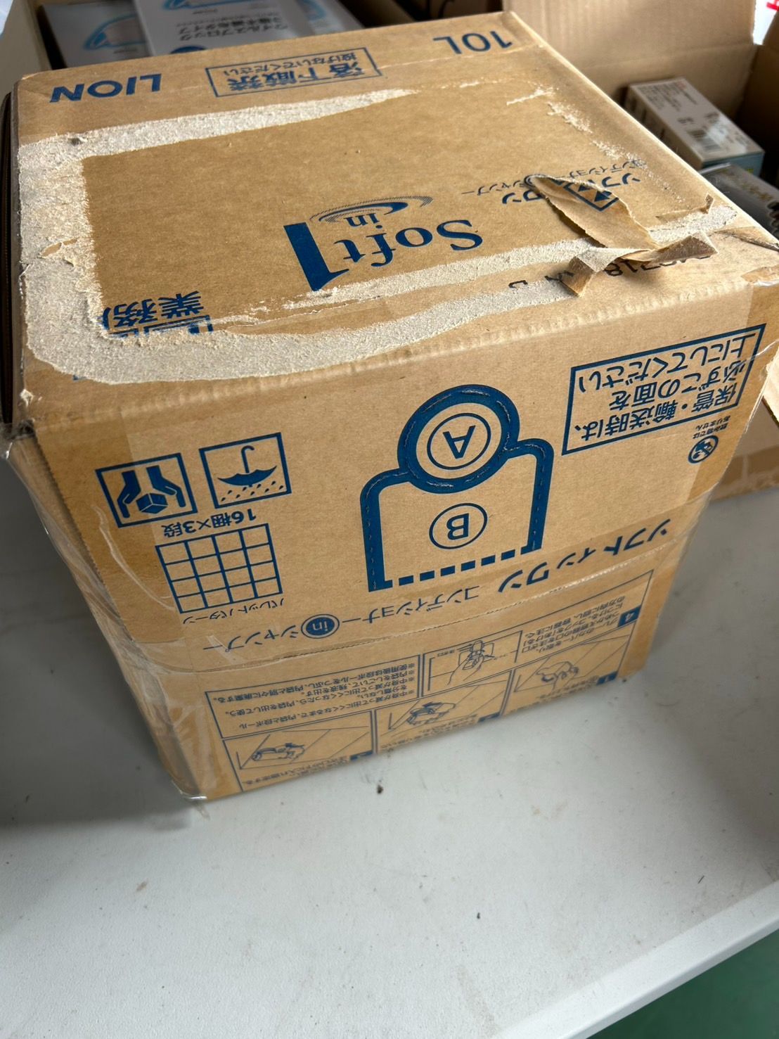 ライオン ソフトインワン コンディショナーインシャンプー 業務用 詰め替え用 大容量 10 L