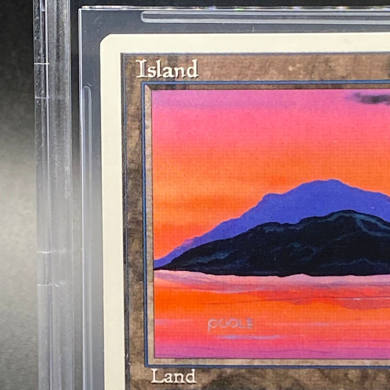 マジック：ザ・ギャザリング - 【BGS9】島 /  基本土地 サマーマジック マジック：ザ・ギャザリング - 【BGS9】島 / Island 基本土地