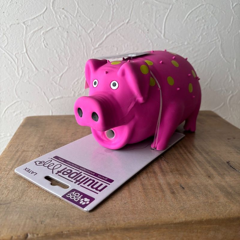 ラテックスグランティングピッグMULTIPET Grunting Pigs 9"