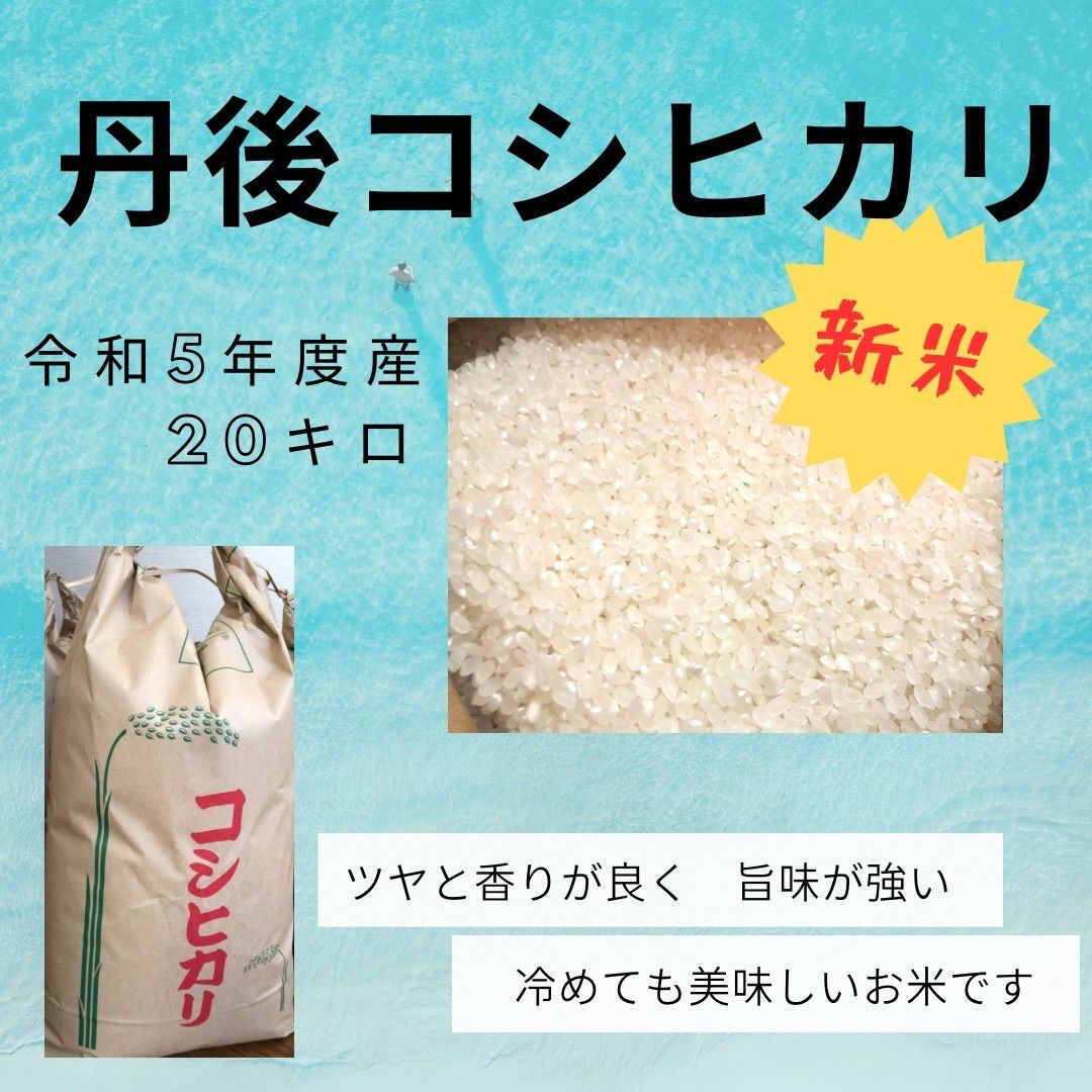 【特価日本製】丹後こしひかり　＜玄米＞　２０ｋｇ 米/穀物