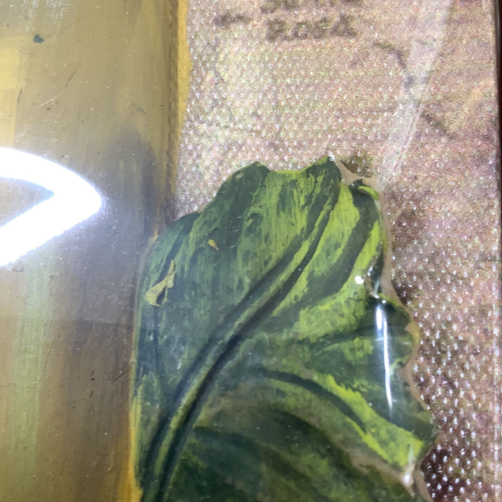 パネルアート 絵画