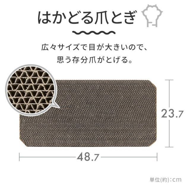 ネコ