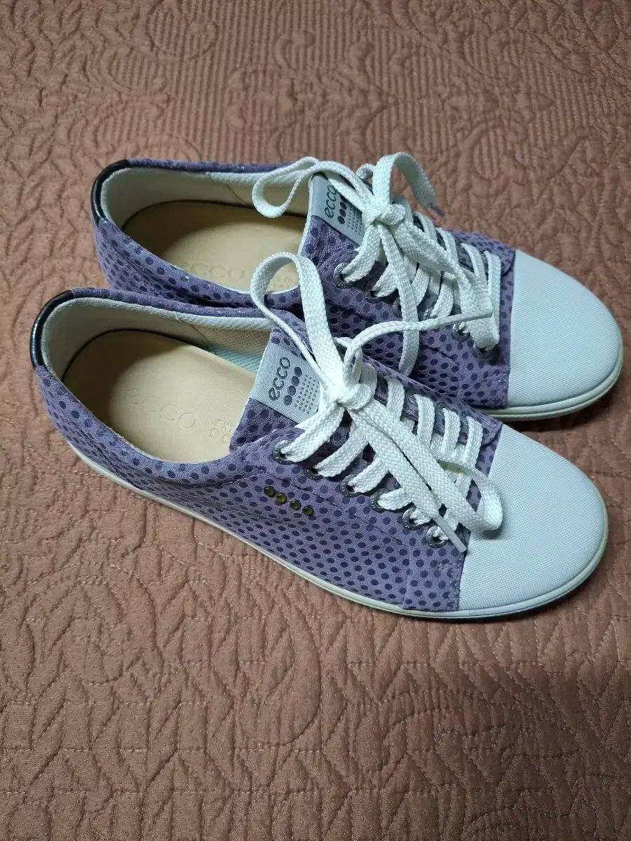 36 220 Ecco エコー レディース ゴルフシューズ 0812