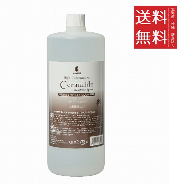 同梱不可 2個セット BASICS 高濃度セラミドモイスチャースプレー 業務用 1L 1000mL 犬用 スキンケア 保湿