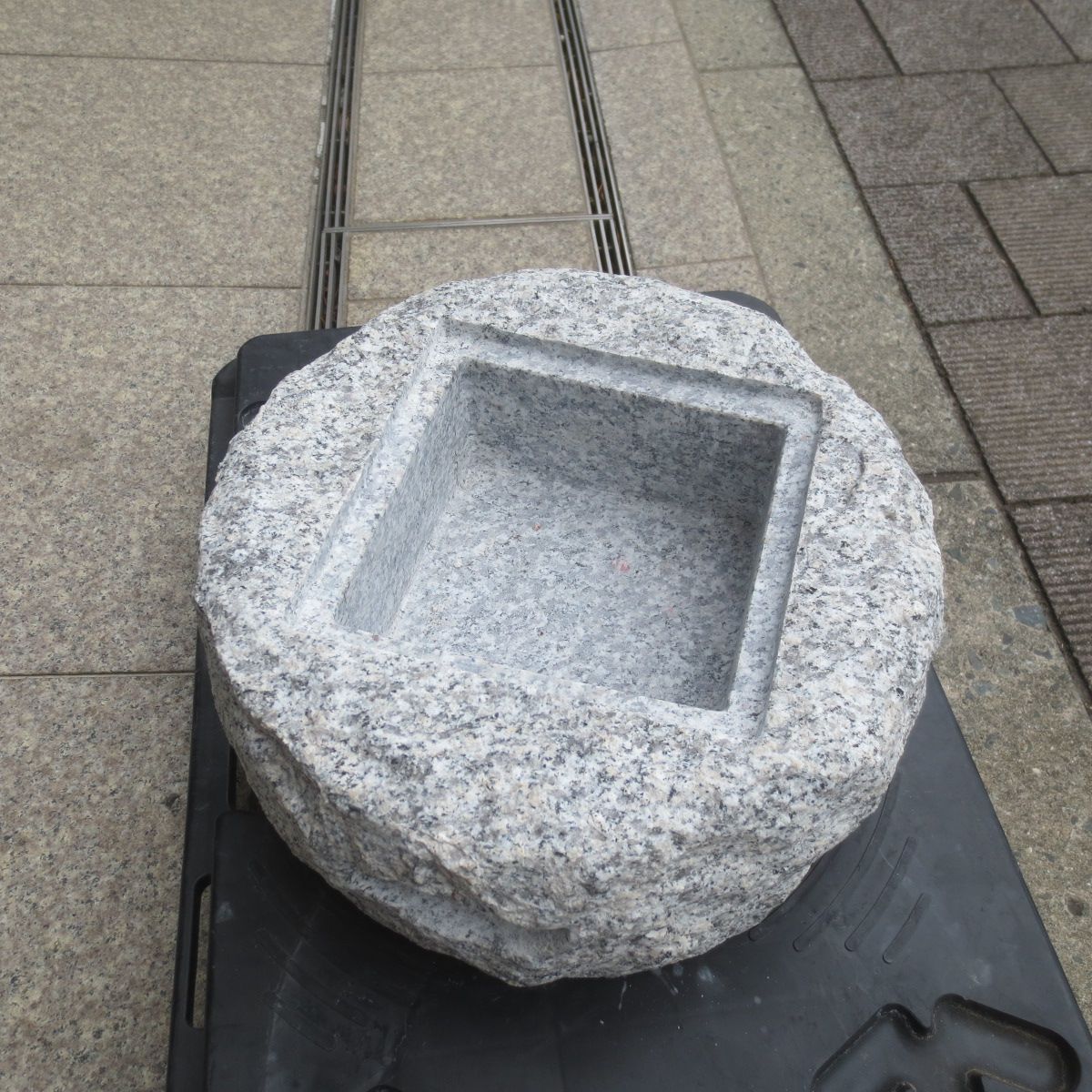 2025年最新】Yahoo!オークション -蹲(花、園芸)の中古品・新品・未使用