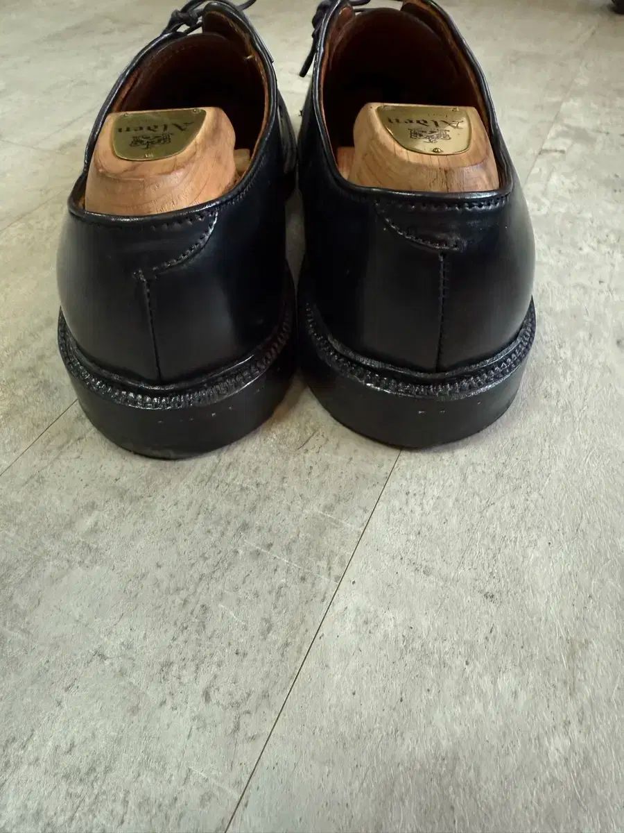 オールデン 9901