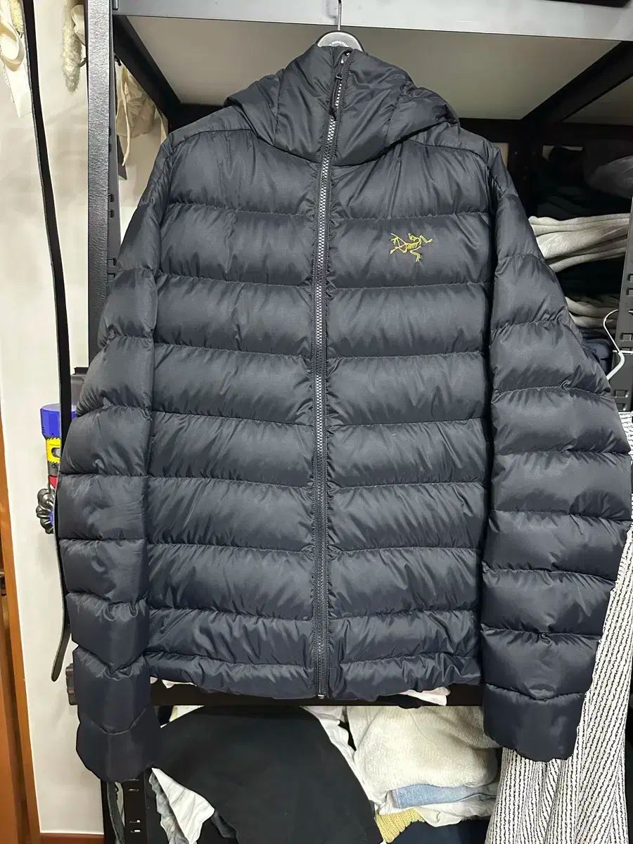 ARC TERYX アークテリクス トリウム 24K L サイズ ほぼ