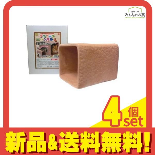 新種 本物 オバティフォリア 'Moby' TC ⑥ US輸入株【発根済み】 Yahoo!オークション - 新種 Moby オバティホリア オバティ