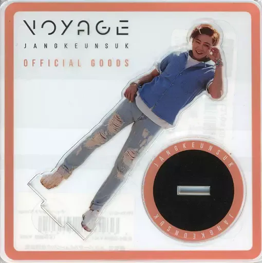 チャン・グンソク人形 キャラクター ドール チャングンソク似 着せ替え ぬいぐるみ ヒョウ柄