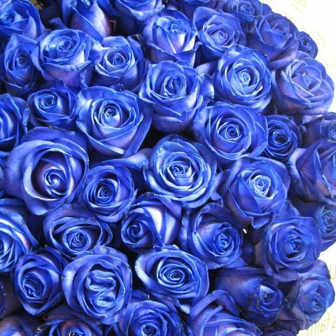 青バラ プリザーブドフラワー 青バラ 花束 青バラ 20本使用 プリザーブドフラワー 花束 枯れずにいつまでもキレイな赤バラ ◆誕生日プレゼント 成人祝い 記念日の贈り物におすすめのフラワーギフト