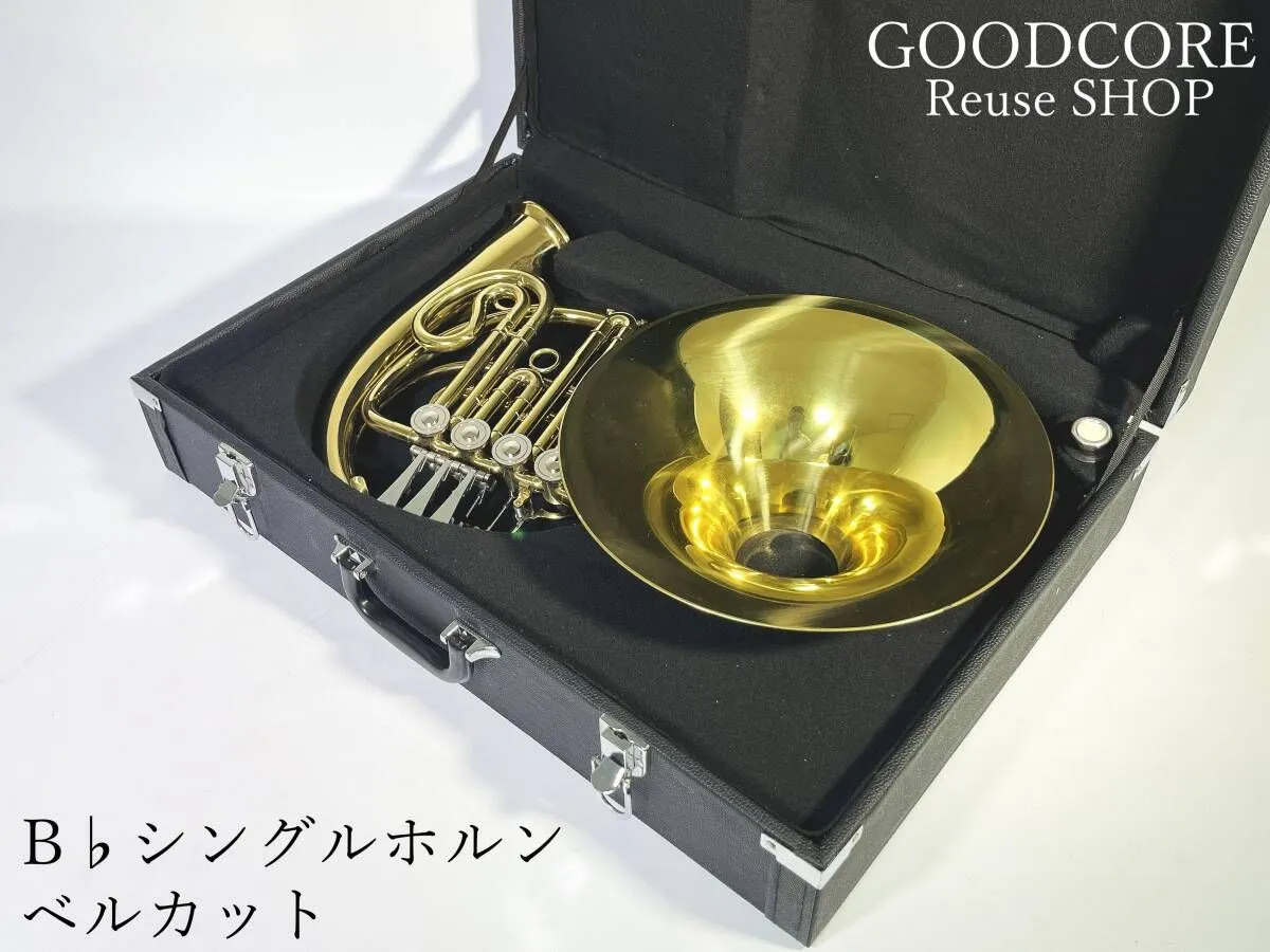2026年最新】アルトホルン ケースの人気アイテム - メルカリ