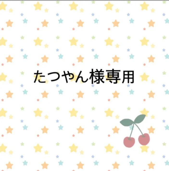たつやん様専用