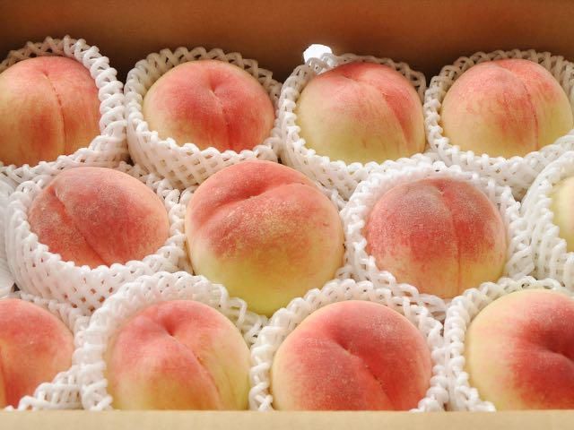 希少☆訳あり大量☆幸水梨☆8〜10玉入箱☆限定破格☆富山県産☆呉羽梨☆ 果物 希少☆訳あり大量☆幸水梨☆8〜10玉入箱☆限定破格☆富山県産☆呉羽梨☆