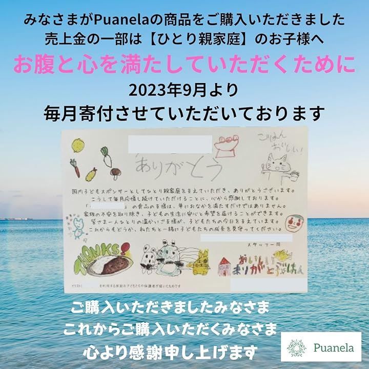 Puanela フラワーデザイナー推奨 ソープフラワー 花束 ギフト 誕生日