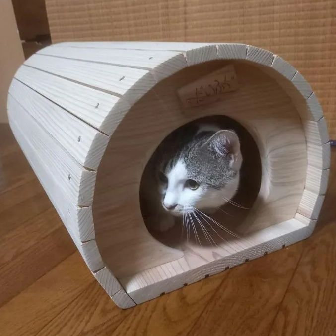猫トンネルハウス A棟｜キャットハウス