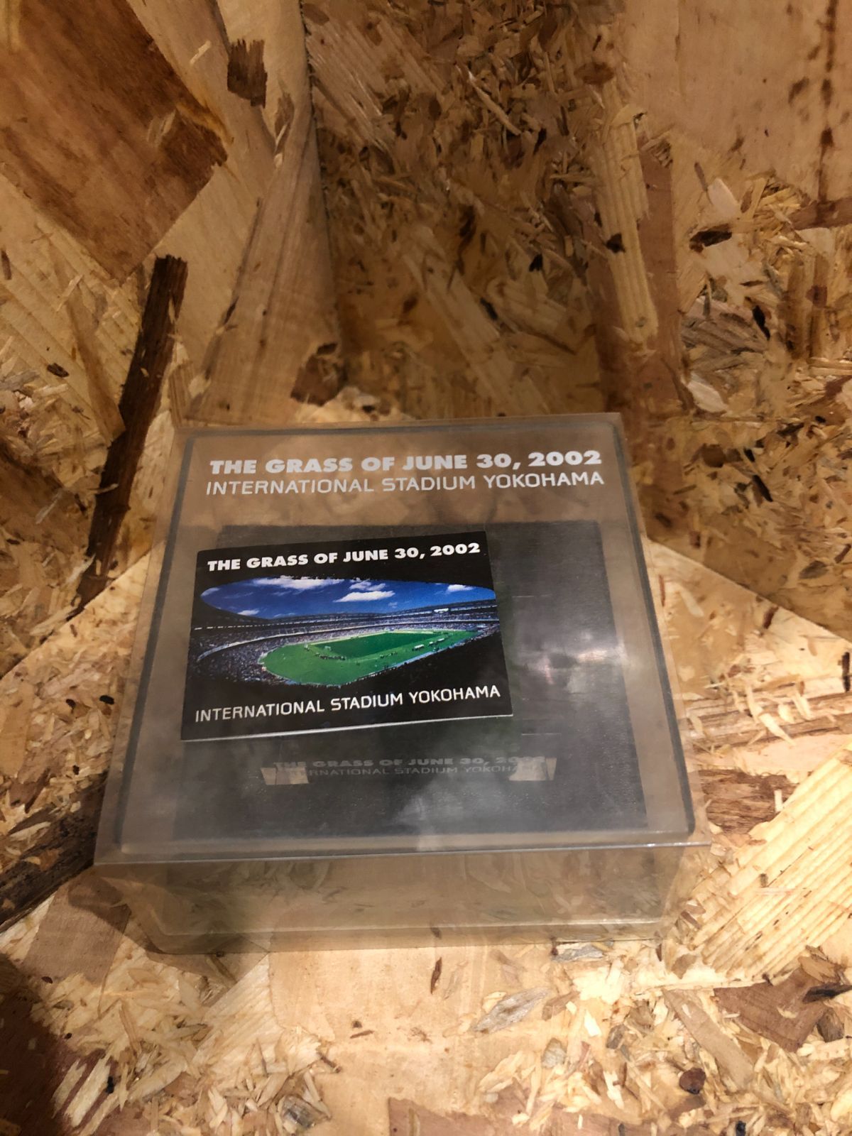 2002年W杯、決勝戦の芝！正規品！