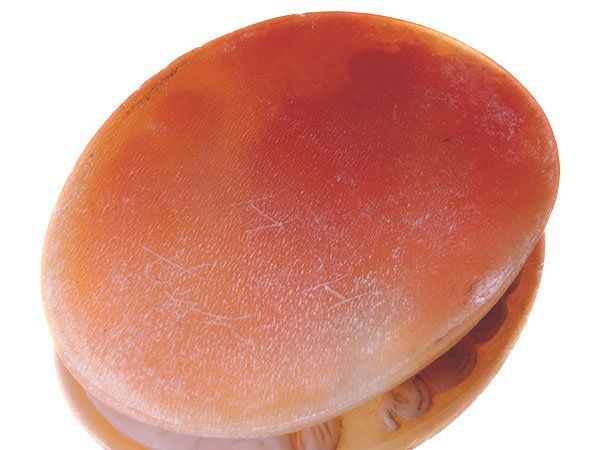 【海】カメオルース　貝シェル　貴婦人彫刻　４点セット　縦約５５ｍｍ 海】カメオルース 貝シェル 貴婦人彫刻 4点セット 縦約55mm