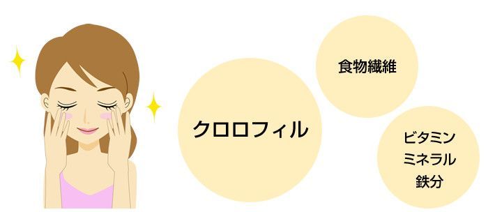 国産100%】よもぎ茶 ティーパック 1.5g×12パック×3袋セット 宮崎県産 無農薬 ノンカフェイン 送料無料 ティーバッグ ヨモギ茶 国産 蓬茶  食物繊維 よもぎ ダイエット 妊婦 高級 ギフト プレゼント お歳暮 御歳暮 プチギフト お茶 2024 - メルカリ