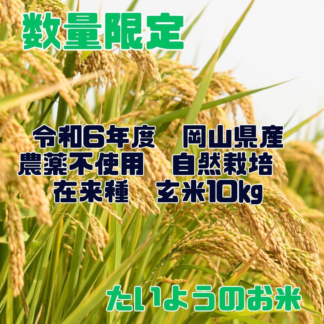な岡山県産 農薬不使用 自然栽培 棚田米 令和6年度 玄米 10kg