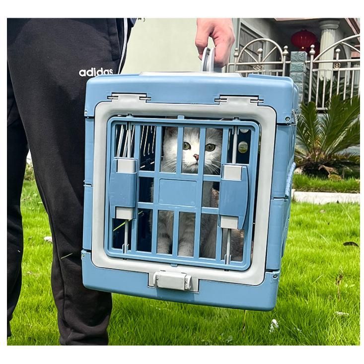 犬