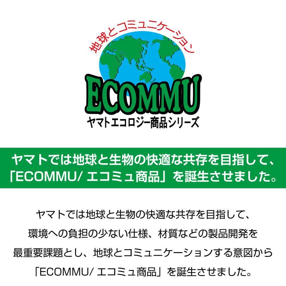 実用