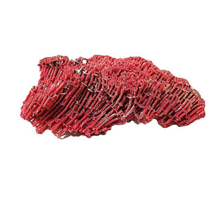 サンゴ礁 珊瑚礁 パイプオルガン珊瑚 珊瑚 サンゴ 赤珊瑚 管珊瑚