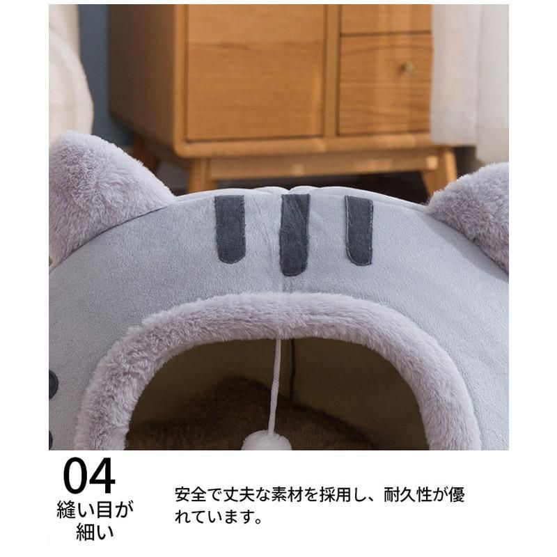 ドーム型