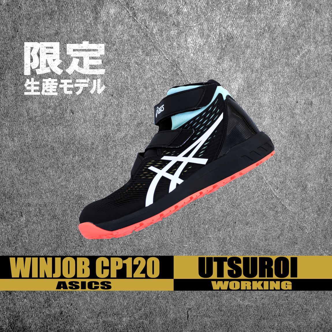 ASICS アシックス CP120 限定カラー安全靴 cp120s.jpg