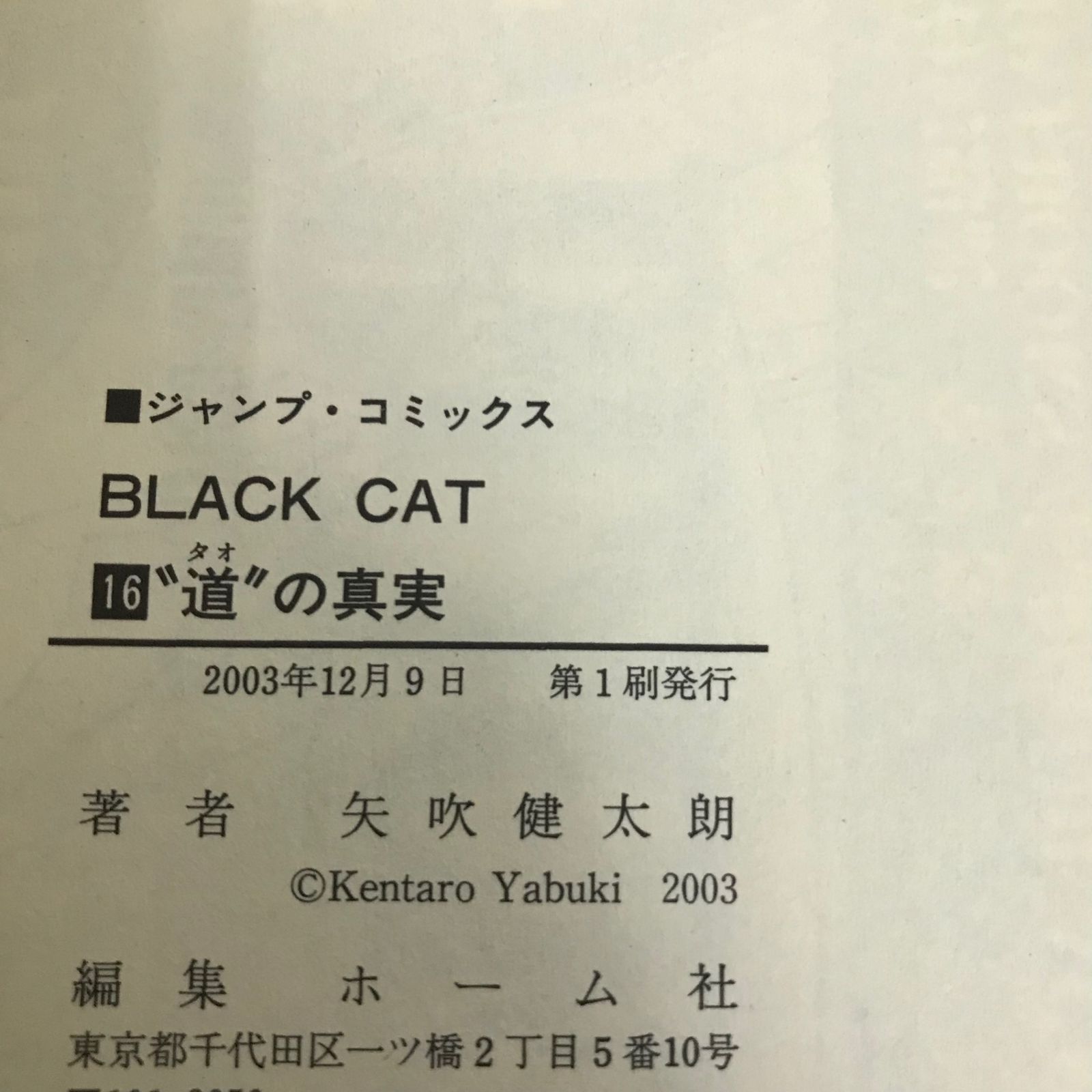 BLACK CAT 16巻/【作者】矢吹健太朗/GF-0225027924-YP/GF09621 - メルカリ