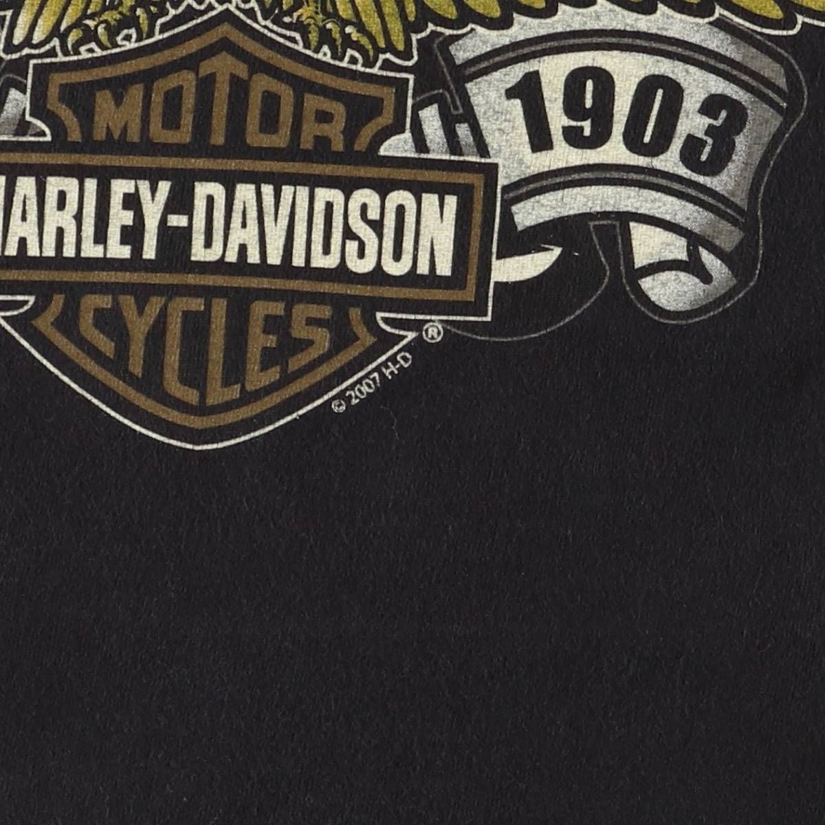 古着 00年代 ハーレーダビッドソン Harley-Davidson 鷲柄 イーグル柄 モーターサイクル バイクTシャツ メンズXXL相当 eaa 591502 新作入荷 タートルネック
