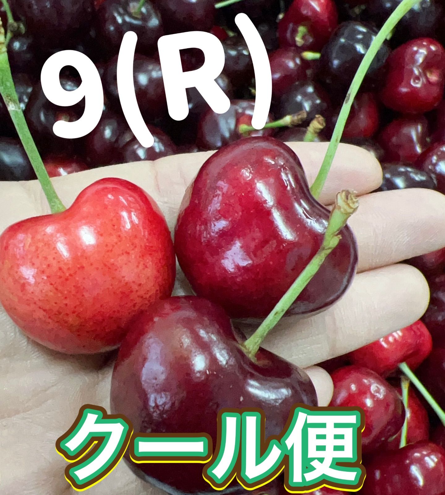 9Rアメリカンチェリー4kg