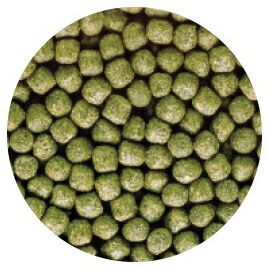 ひかりデイリー 中粒 ４ｋｇ ４袋 1160136 キョーリン