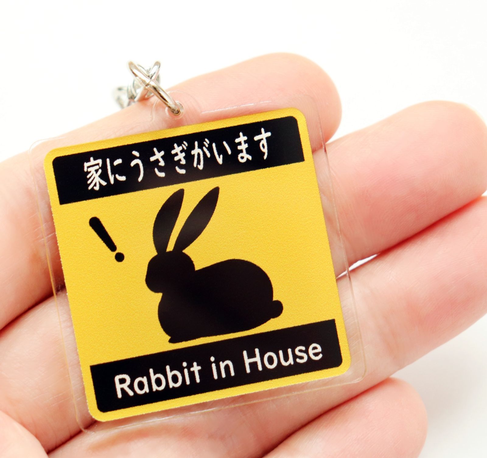 キーホルダー 家にうさぎがいます Rabbit in House ピクトグラム