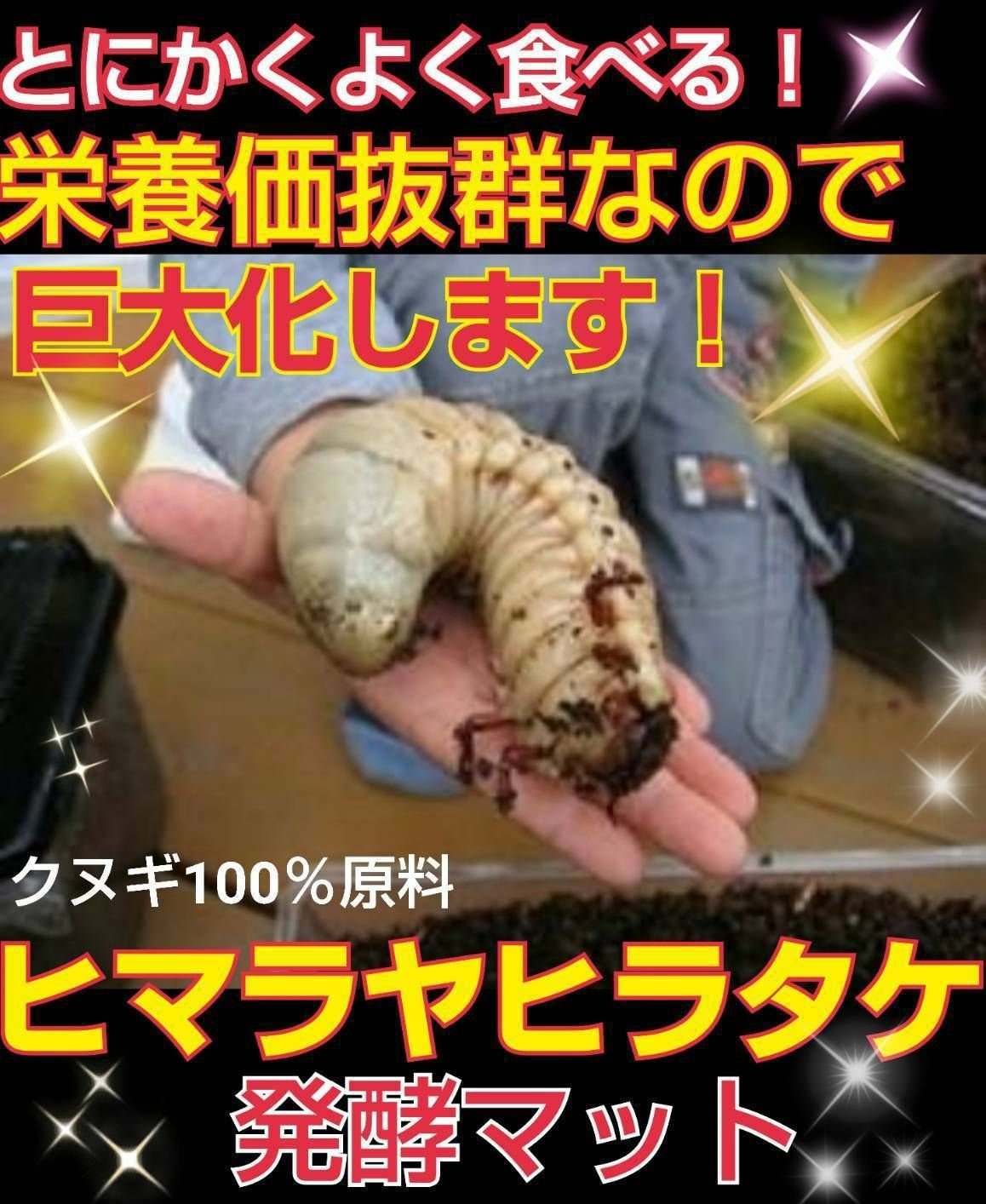 カブトムシ幼虫が大きくなる！改良版！クヌギ発酵マット産卵にも抜群 