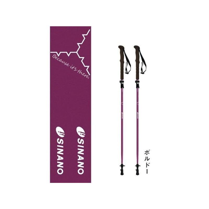 トレッキングポール