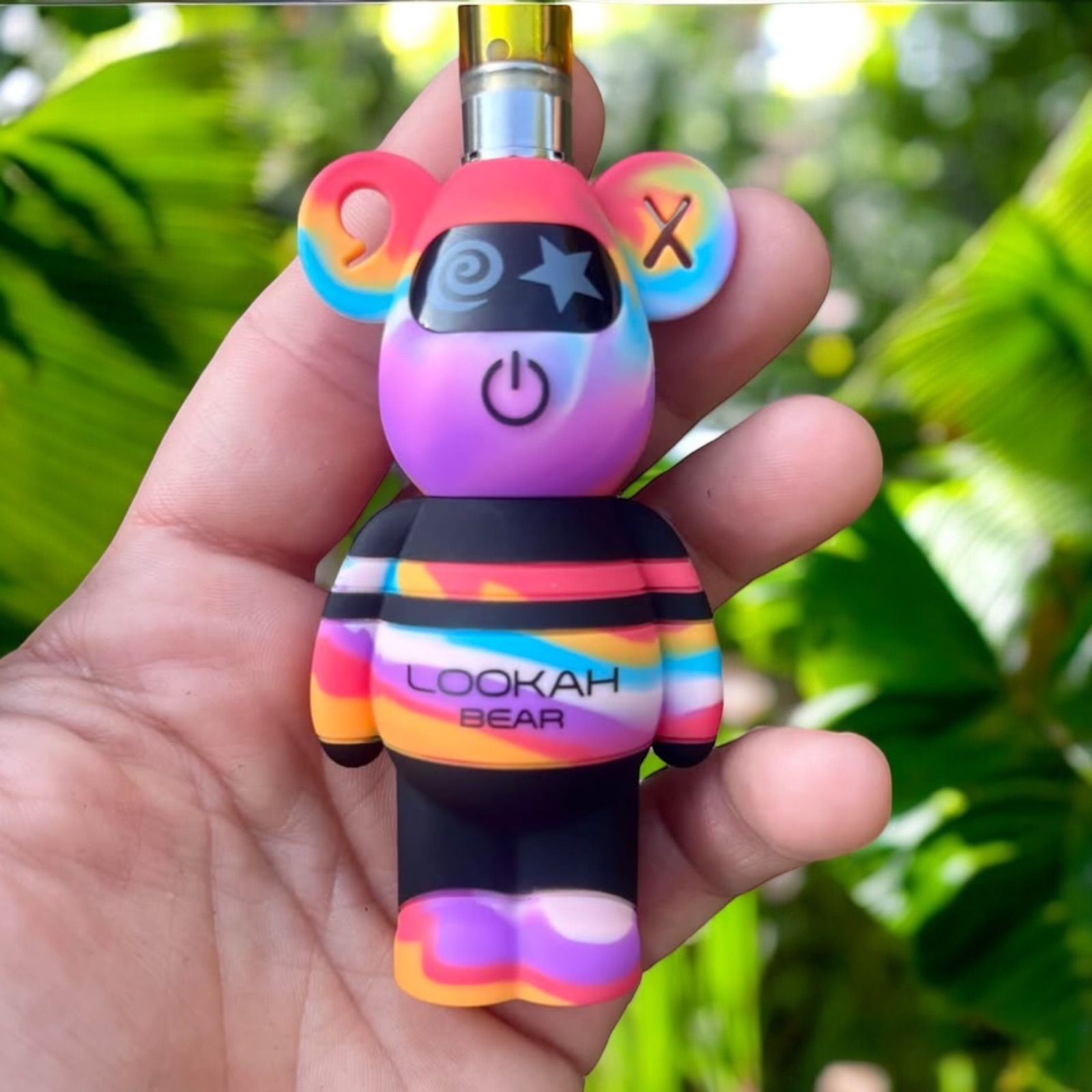 Bear