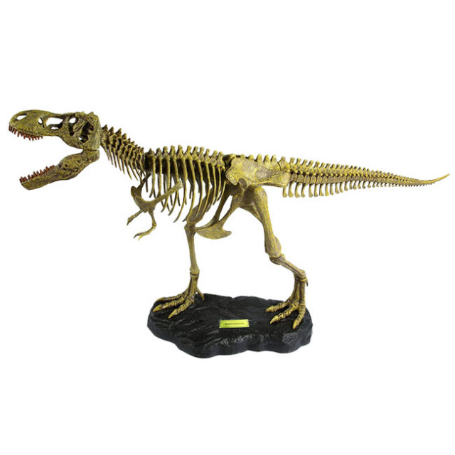 ★肉食恐竜「スピノサウルスの歯」化石　１２５．１ｍｍ　大迫力のサイズ！極太！　本物の化石　化石標本