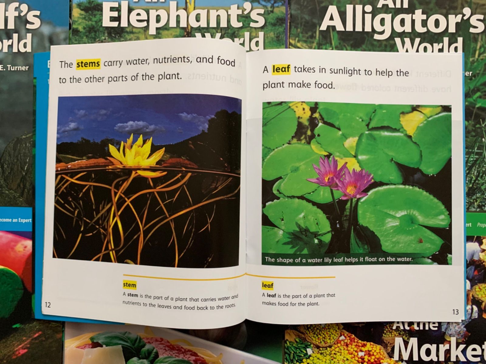 National Geographic Science G1 絵本36冊 National Geographic Science G1 絵本36冊 - メルカリ